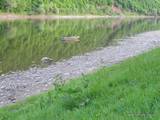 В країні фортець та водоспадів 1105
